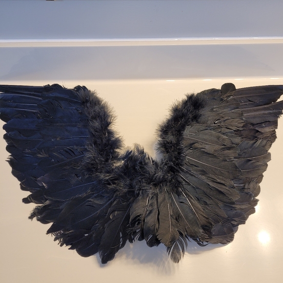 Dark Angel Wings Black Feathers Posable Cosplay Or Display - Picture 16 of 16
